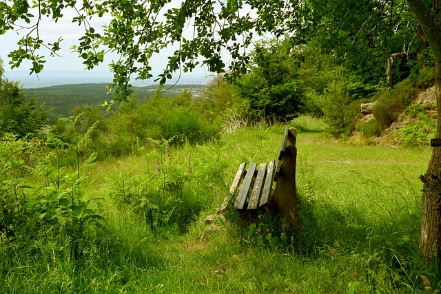 瓦茨克：现在认为解雇图赫尔是错误，我们关系已恢复良好