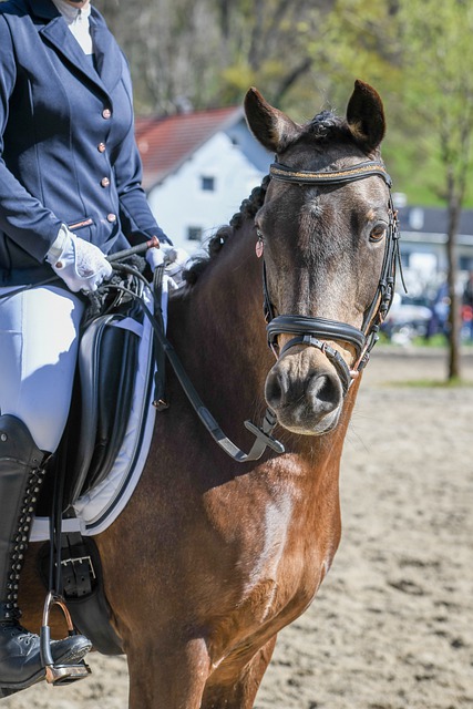 门将整场都在上演神迹